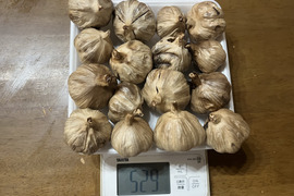【おまとめ特価16個】お求めやすくなりました！ 
22 自然栽培　黒にんにく 人気　たっぷり16個
令和8年度新物　食べやすくて美味しい