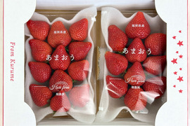 福岡県特産「あまおう」1kg 大粒！福岡県エコ農産物認証・こだわり栽培！