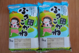 令和7年 千葉県産 コシヒカリ 無洗米 10kg：千葉県産のコシヒカリ