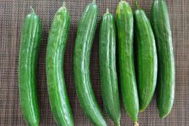 🥒🍆夏の定番コンビ！キュウリ10本＆ナス約600g｜サラダにも炒め物にも｜朝どれ直送｜農薬・化成肥料不使用🥒🍆