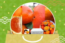 【柑橘の福袋】４品種が楽しめる！「旬のこだわり柑橘食べ比べ福袋」　ご家庭用　約3kg入　【商品番号1102】