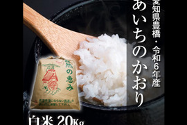 【節減対象農薬6割減】あいちのかおり 白米20g（10kg×2袋）【令和6年・愛知県産】