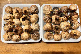 京都府のにんにくで産地直送の商品｜食べチョク｜産地直送(産直)お
