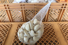 【皮むけなし】青森県産ホワイト六片種にんにく バラ 500g【高糖度】