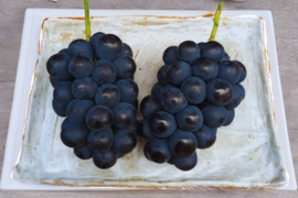 ◯完売御礼◯【家庭用】ナガノパープル　2kg/3~4房