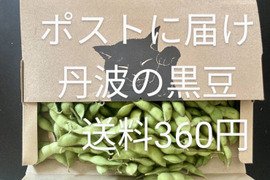 今季最終〜お手軽ポストに新鮮丹波黒大豆枝豆
お得品700g