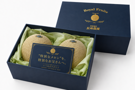 【父の日ギフト】令和5年 品質優良賞受賞 果汁たっぷり春メロン 茨城県産 アンデスメロン【特秀】2玉