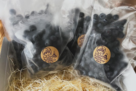 【肥料農薬不使用】2025年収穫！自慢の冷凍ブルーベリー！(2kg)