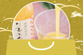 【ジュースの福袋】りんごとブルーベリー加工品セット【6種類！】