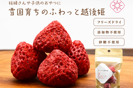 妊婦さん子供のおやつに　フリーズドライいちご　"ふわっと越後姫"4g 10袋　100%無添加無加糖無着色 ドライフルーツ　定植後化学農薬不使用のドライいちごおやつ国産いちご＊ふわっと姫4g※20061