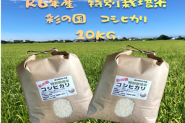 奥深い味わい
R6年産　特別栽培米コシヒカリ　5㎏×2袋
