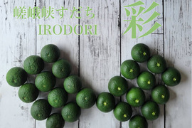 嵯峨峡すだち　〜彩〜　5kg