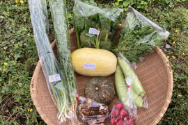 旬の野菜セット（7～9品種）