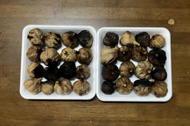 ⑤自然栽培　黒にんにく 人気　たっぷり32個
令和7年度新物　食べやすくて美味しい