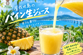 《秋実パイン》加工用5k【慣行栽培】屋我地島    島パイン❣️ （3玉〜7玉）
