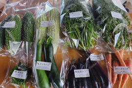 旬のお野菜セット（5～7品）クール便