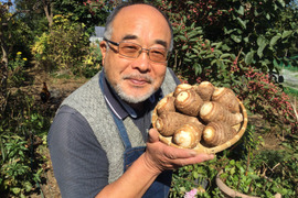 [ねっとり・やわらか] 里芋　4キロ　栽培期間中農薬不使用　日本一の野菜生産地　茨城県鉾田