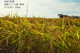 【令和7年新米コシヒカリ】杏里ファームのお米10㎏