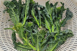 ✨【激レア】【今だけ限定】イタリアの黒い宝石“ベビーネロ”約100g＋旬のお野菜セット｜農薬・化成肥料不使用✨