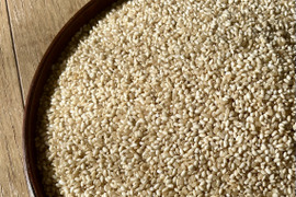 農薬化学肥料不使用『もちひかり』玄米３kg令和７年　信州佐久穂産