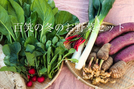 未来へつなぐ 固定種・在来種 自然栽培野菜セット80サイズ　農薬不使用　有機肥料含む全ての肥料不使用