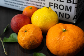 【限定10箱】大人気「甘平」入り！2月の柑橘詰め合わせ2.5kg