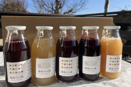 【冬ギフト】ワイン用ぶどうで作ったジュース　4品種各1本+おまかせ品種1本　飲み比べセット180ml✖️5本【熨斗対応可】