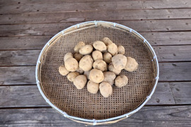 自然栽培　男爵いも　箱込　５ｋｇ