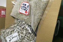 いりこ５００ｇいりこでわかる方はレア煮干しのことです出汁ならこれ５００ｇイチオシレシピ付き残り１３袋で終了