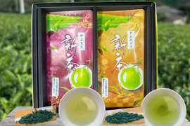【2026年新茶】新茶箱ギフト　大切な方へ旬をお届け！やぶきた＆さえみどり　100ｇ×2パック