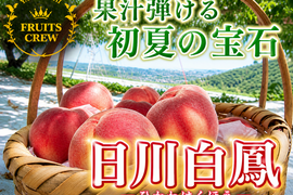 【果汁が弾ける初夏の宝石】日川白鳳🍑本場山梨の品種指定キャンペーン🍑朝どれジューシー桃☆贈答・ギフトにも最適🍑お得な大容量パッケージ約2㎏🍑6月中旬～発送開始