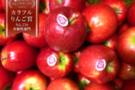 【12月9日から🍎】 ピンクレディ®︎3キロ箱  長野県 信州 安曇野 リンゴ 幻 幻のリンゴ 予約 希少 旬 6玉〜16玉サイズ 商品ID42100 ピンクレディー