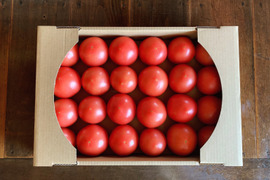 (Lセット）夏の贅沢！清涼感あふれる王道トマト8kg