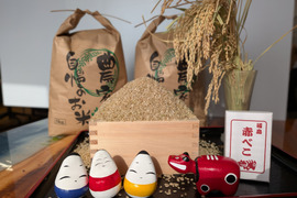 会津産　福笑い　5キロ　（玄米）