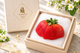 【予約販売 2026年11月下旬～順次発送】特大あまおう苺「極」80g ギフト