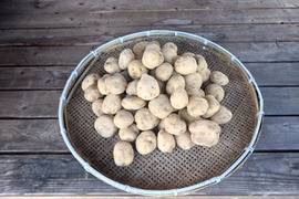 自然栽培　男爵いも　箱込　１０ｋｇ