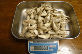 【掘り立て】　土付き　島らっきょう　500ｇ1000円