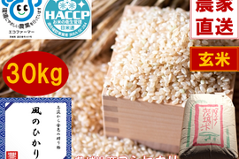 茨城県のコシヒカリで産地直送の商品｜食べチョク｜産地直送