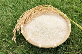 【令和5年産】[Ｒ5年産]特別栽培米 ミルキークイーンとあきたこまち 各5kgのセット