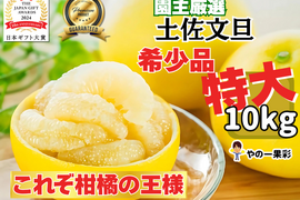 【日本ギフト大賞受賞】👑 家庭用 土佐文旦 高知県産 超特大700g〜1kg  10kg〜 ✨食べ応え抜群の迫力サイズ🍊