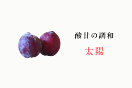 【2026年先行予約】【すもも・太陽】貴陽の生みの親！酸味と甘味の絶妙なバランス 約10玉