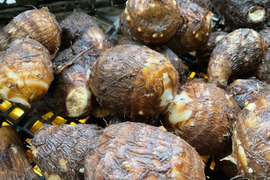 【予約増量(^^♪】 里芋　“土垂“2000g→2200g　from 名水の里　秦野