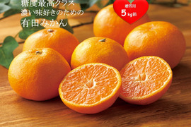 【贈答用】【特秀品】有田みかん 5キロ箱 和歌山県 有田 みかん S~Lサイズ
