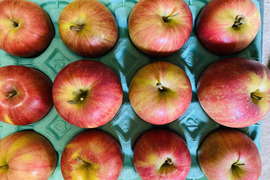 【数量限定】今年も出します！採りたての長野県人気ブランド「完熟シナノスイート」（約5㎏：12~25個入り）