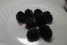 完熟ブラックベリー｜冷凍500g｜ジャム・スイーツに最適