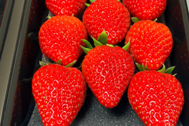 宮城県産【完熟の香り高いスターナイト】250ｇ×2ｐ入り