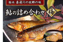 鮎の甘露煮 特大サイズ子持ち6本入り【梅】【夏ギフト】【お中元】【冬ギフト】【お歳暮】「熨斗対応可」子持ち鮎 贈答用 特大 子持ちあゆ アユ ギフト 贈答品