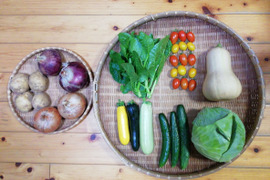 【農薬化学肥料不使用】バターナッツカボチャ入り野菜セット【6~8種類の野菜】【火・金曜日クール便で発送】【あわせ買い可】【熨斗(のし)対応可】【80サイズ箱】