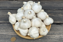 【再入荷・出店記念・数量限定】農薬・化学肥料不使用！にんにく(福地ホワイト六片)MS混在・1kg