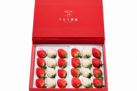 【予約販売 2026年11月下旬～順次発送】 紅白特選あまおう 800g ギフト お歳暮